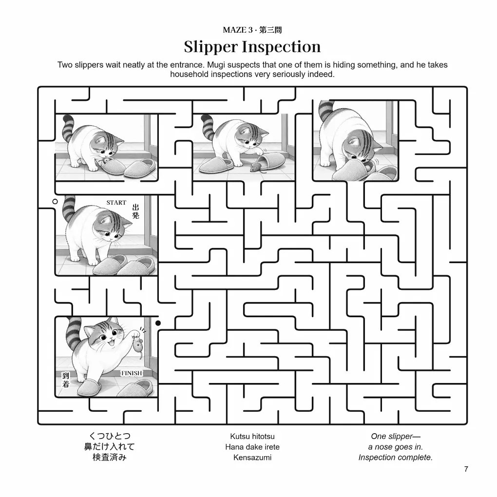 Slipper Inspection sample puzzle page